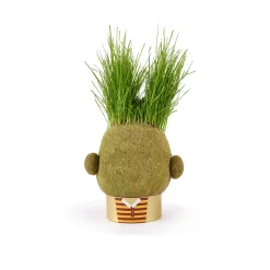 Hape Diy Og Hobby | Hus Og Hjem><noscript><img width=