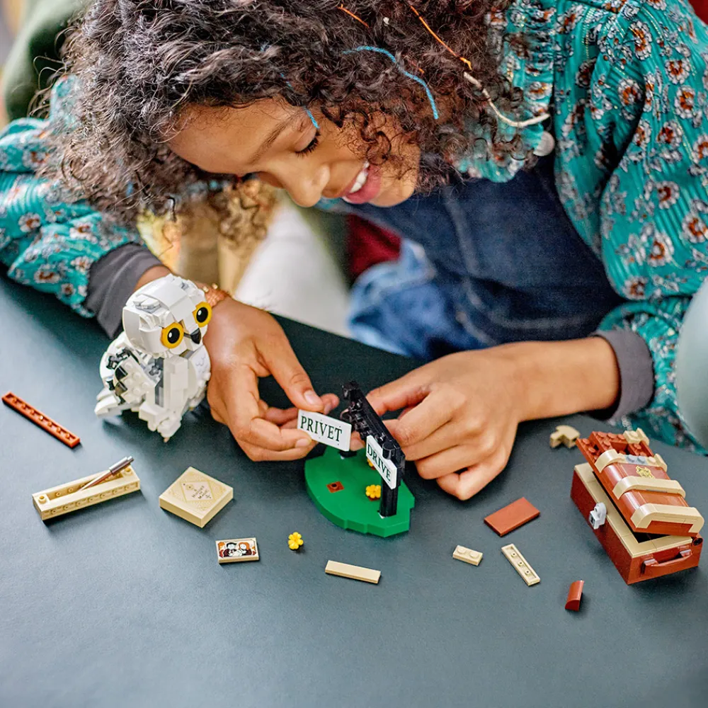 LEGO Lego Harry Potter>76425 Hedvig i Hekkveien 4