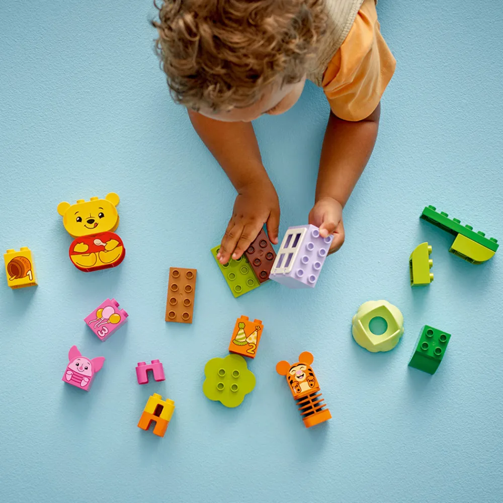 LEGO Duplo | Lego Duplo>10457 Ole Brumms bursdagsfest