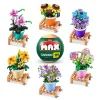 MAX Blomster>Build Garden Pot Plant S1