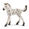 Schleich Schleich>Knabstrupperføll
